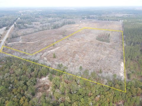 Homes For Sale - 25.29 ACRES Hwy 87<br/> Samson, AL 36477