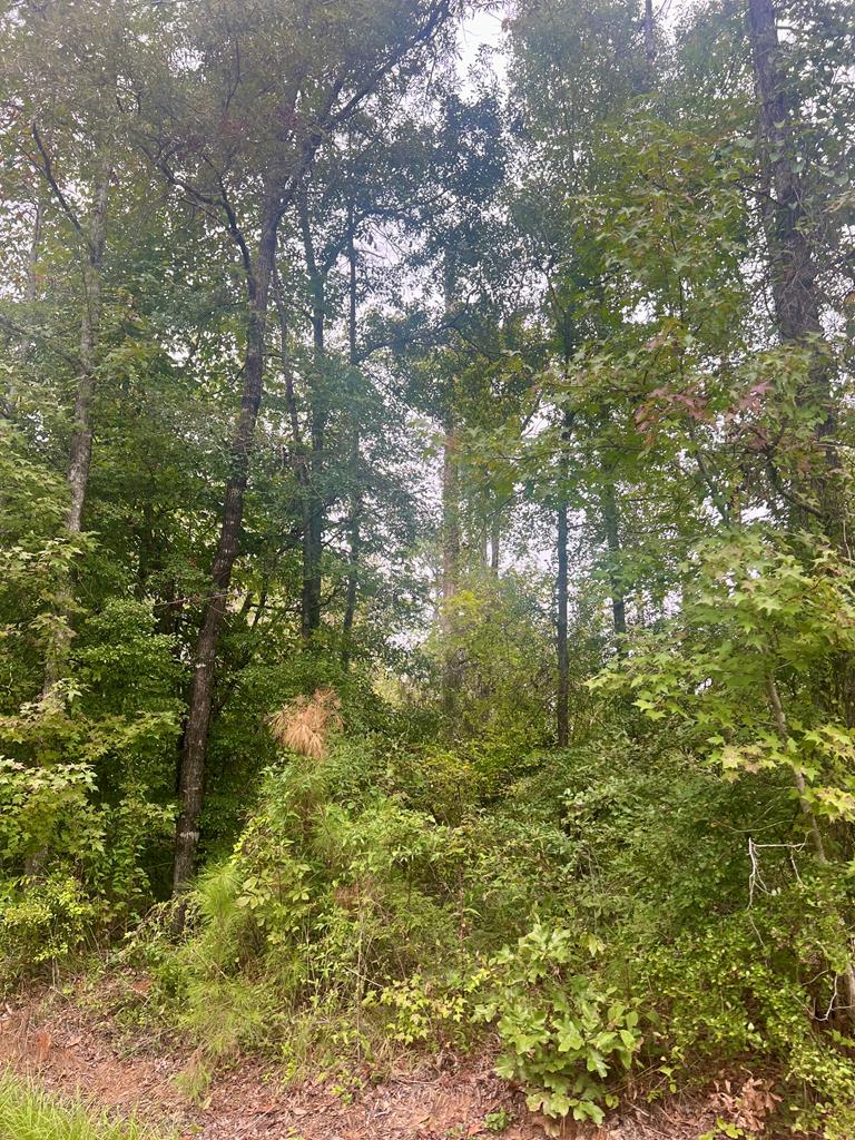 Douglas Dr, Abbeville, Alabama image 1