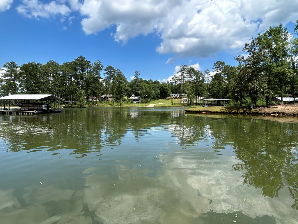 643 Englewood Dr, Abbeville, Alabama image 27