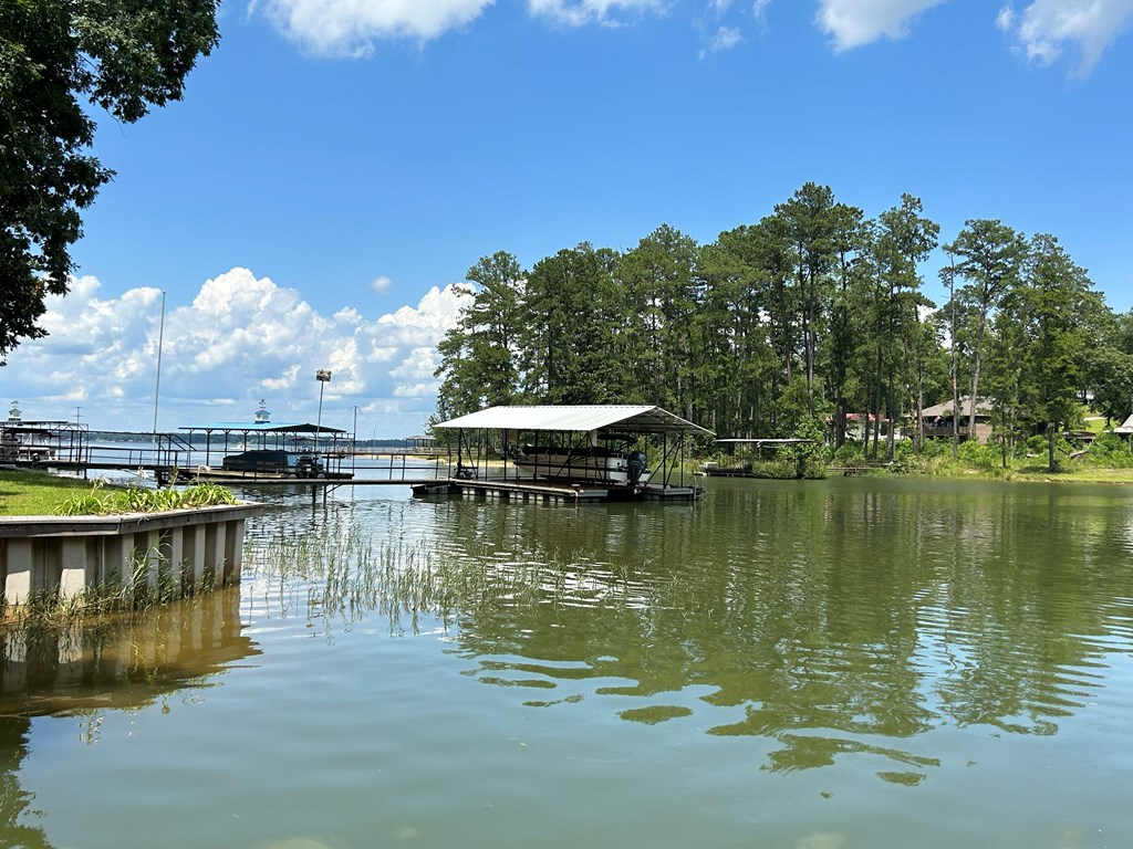 643 Englewood Dr, Abbeville, Alabama image 26