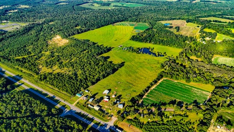 Vacant Land For Sale - 12407 S Us Highway 231<br/> Cottonwood, AL 36320