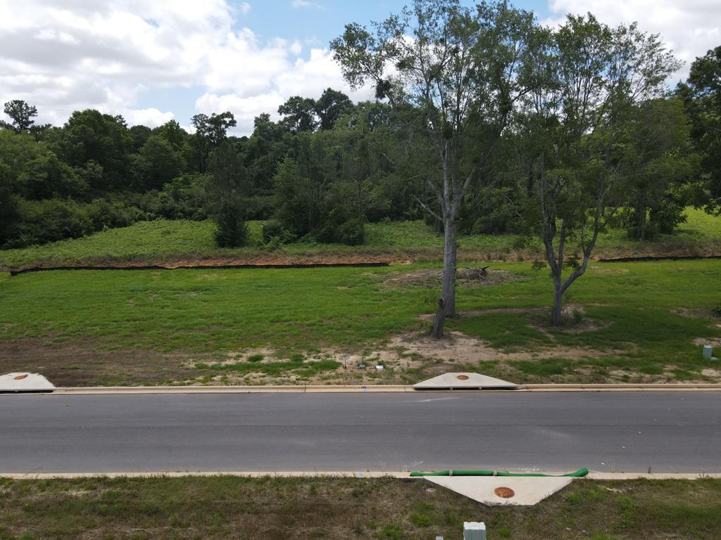 196- Lot 16 Golden Oaks Circle, Dothan, Alabama image 8