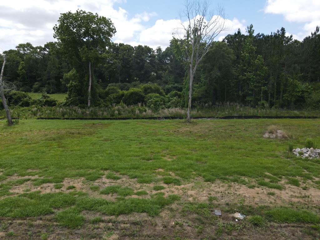 196- Lot 16 Golden Oaks Circle, Dothan, Alabama image 10