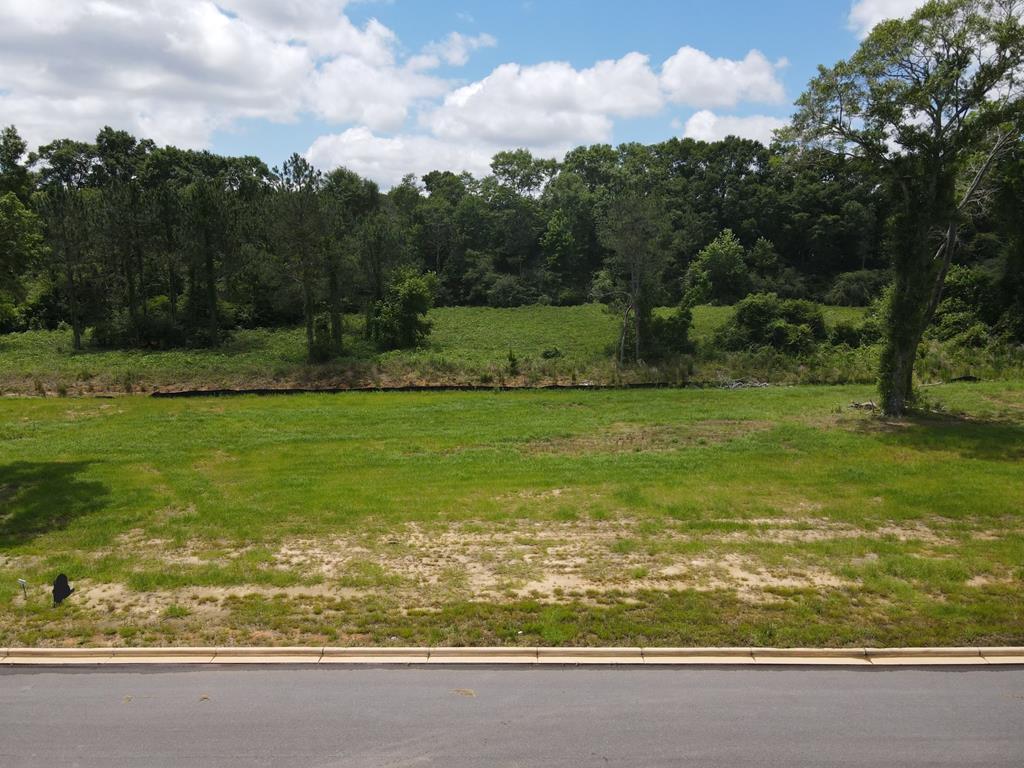 196- Lot 16 Golden Oaks Circle, Dothan, Alabama image 11