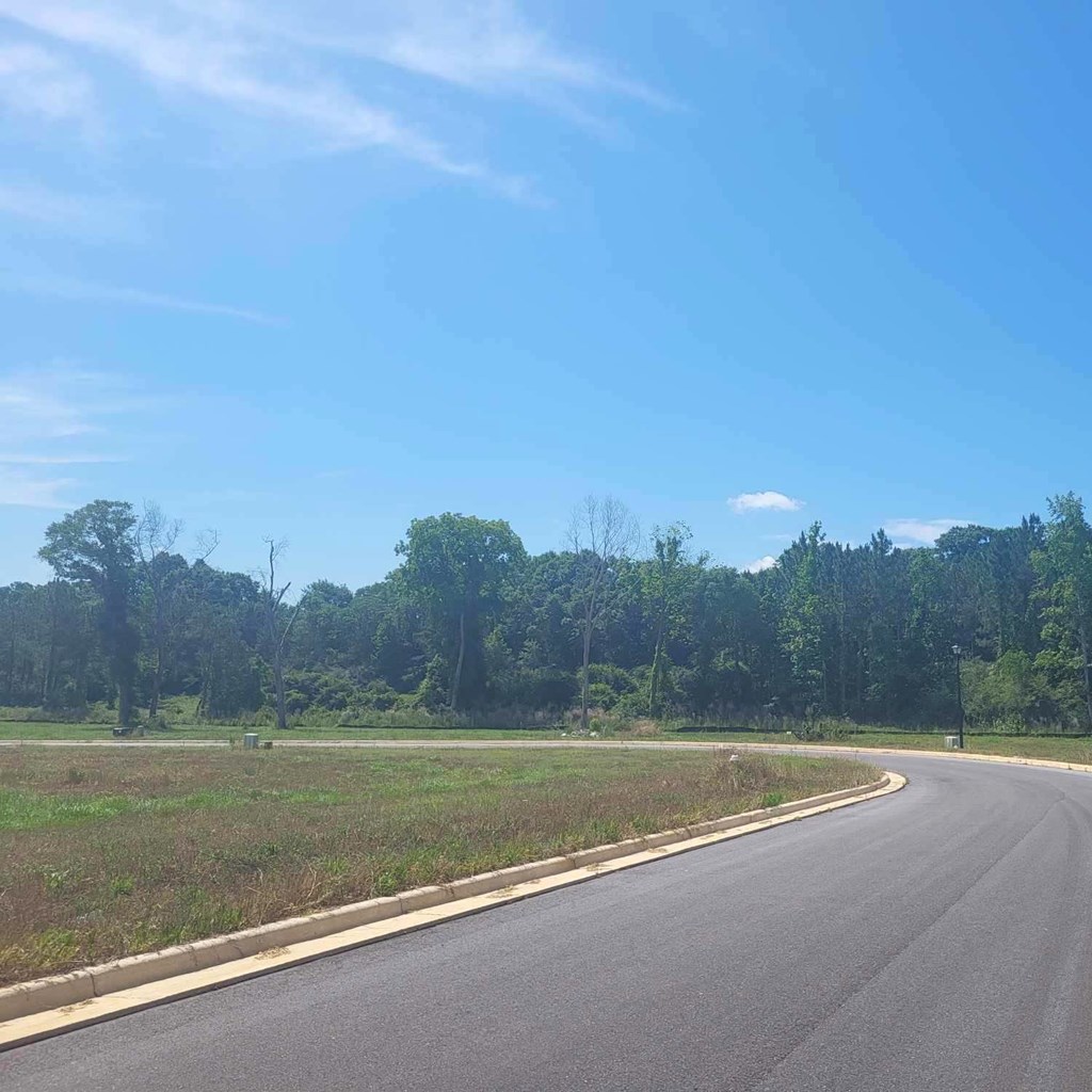 196- Lot 16 Golden Oaks Circle, Dothan, Alabama image 3