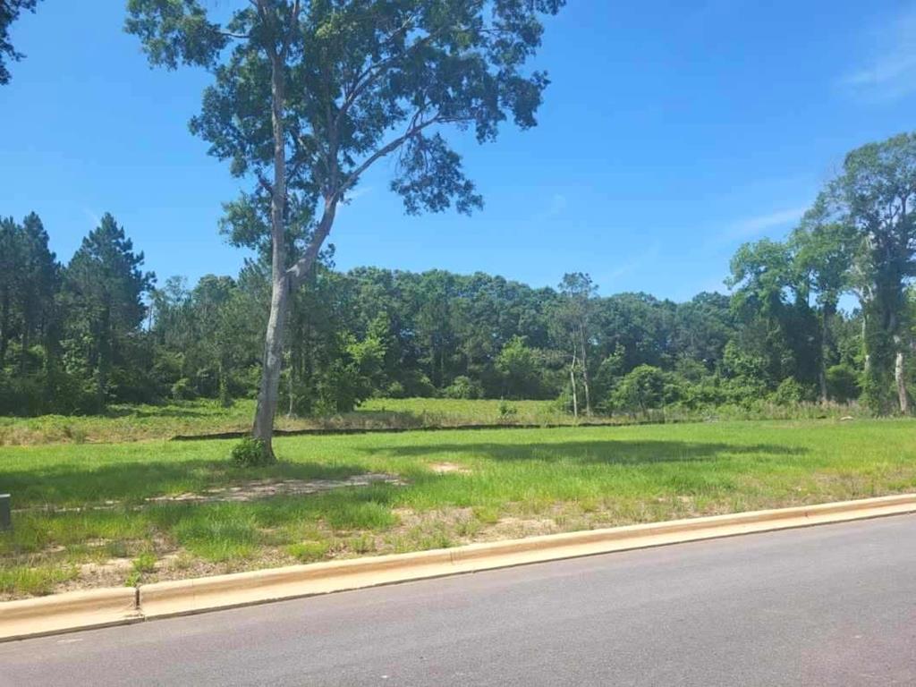 196- Lot 16 Golden Oaks Circle, Dothan, Alabama image 1