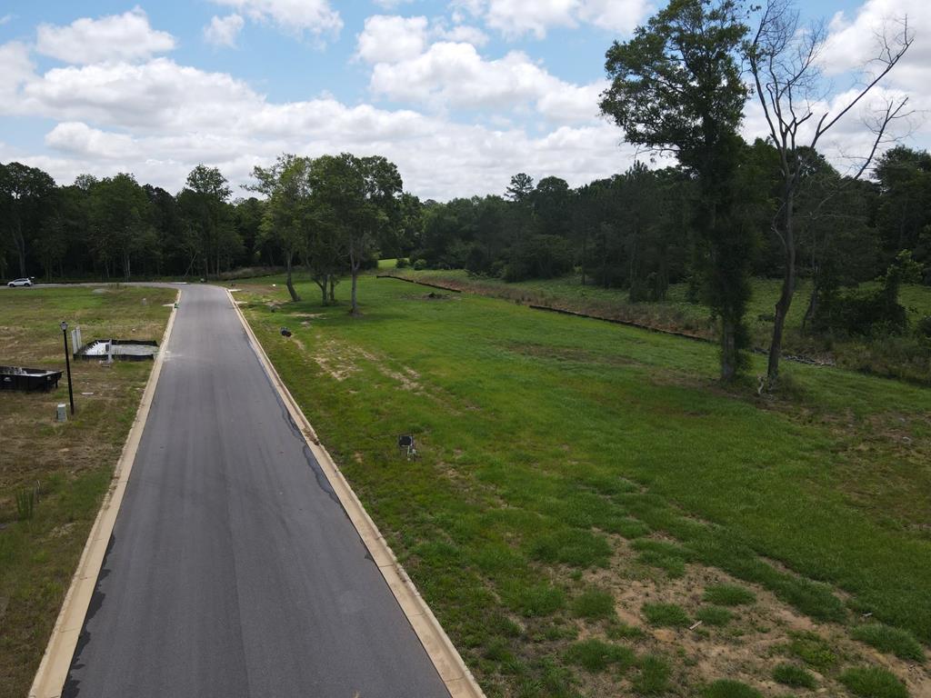196- Lot 16 Golden Oaks Circle, Dothan, Alabama image 9