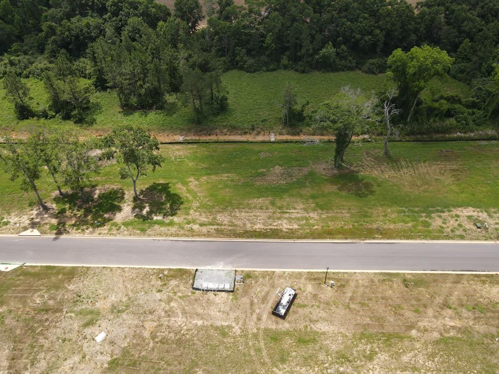 196- Lot 16 Golden Oaks Circle, Dothan, Alabama image 12
