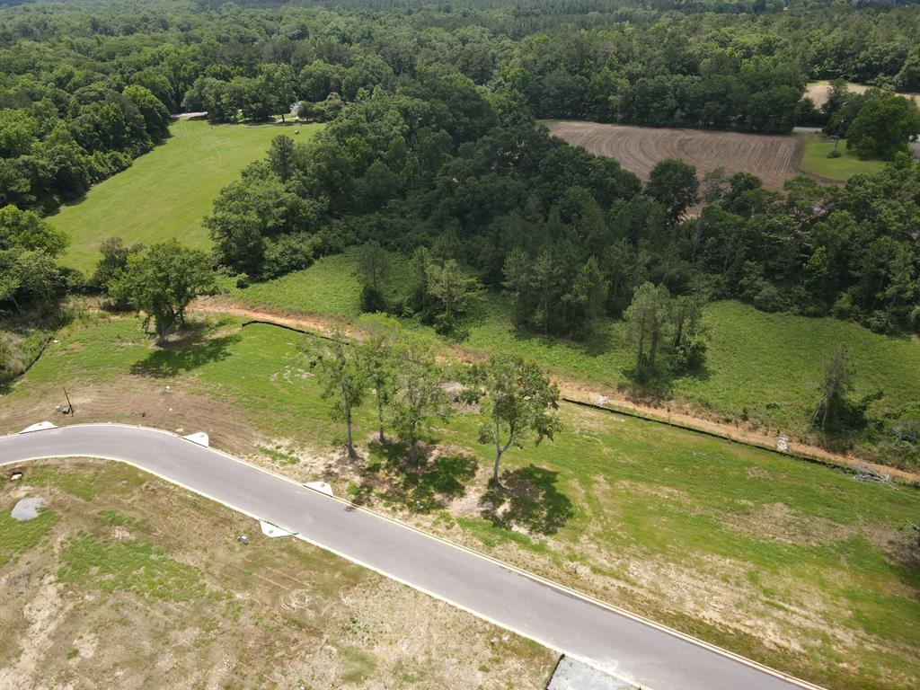196- Lot 16 Golden Oaks Circle, Dothan, Alabama image 13