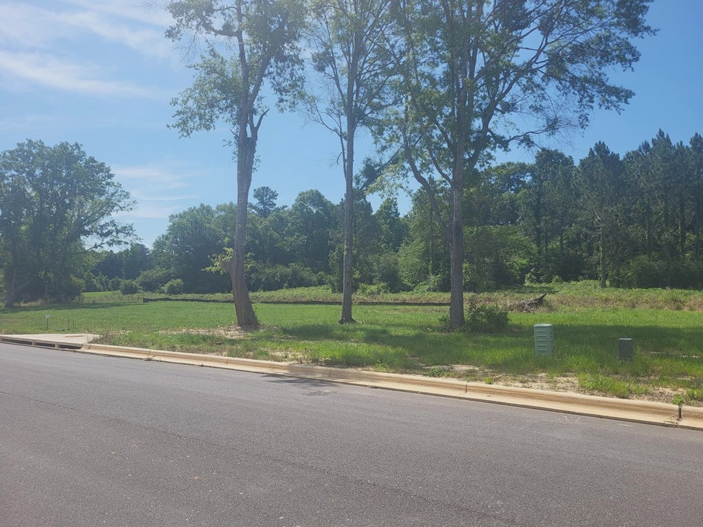 196- Lot 16 Golden Oaks Circle, Dothan, Alabama image 2