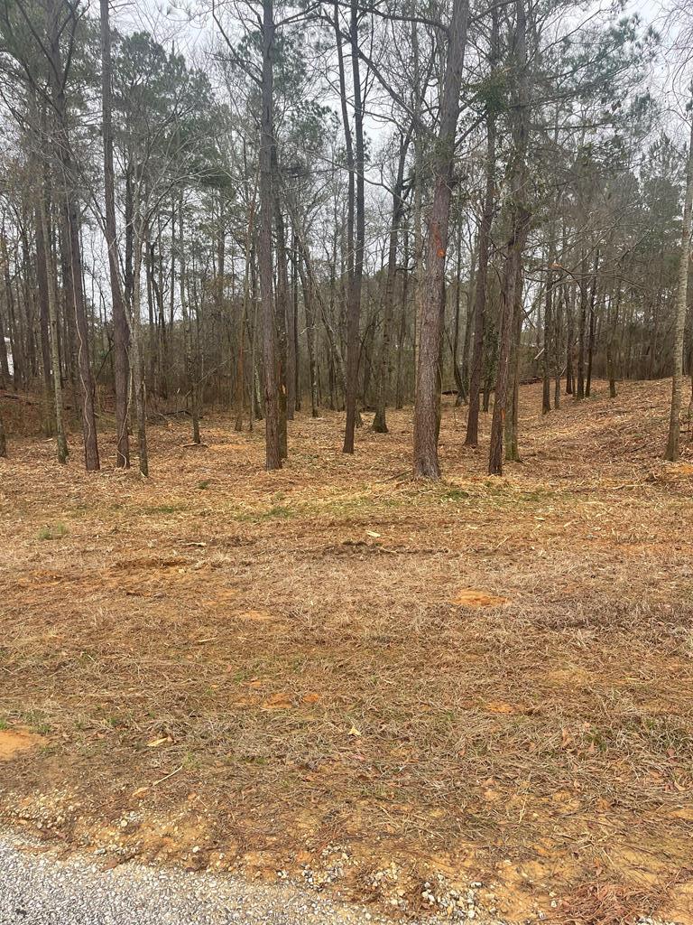 Lot 51 & 52 Lakeview Street, Abbeville, Alabama image 3