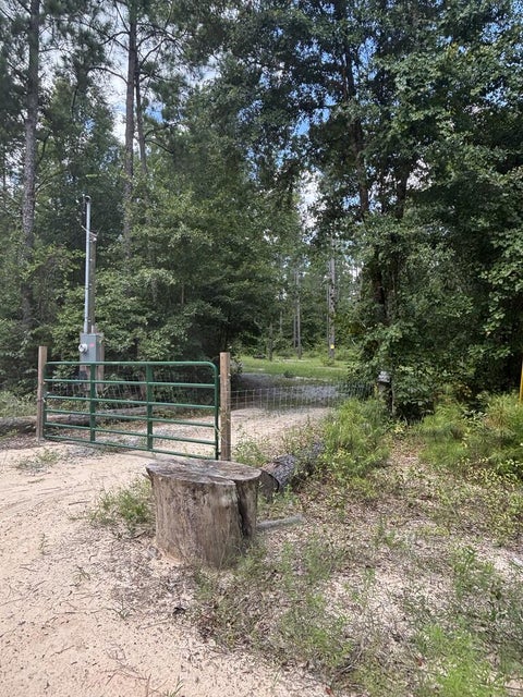 Vacant Land For Sale - 1894 Gus Hughes Road<br/> Houston County, Gordon, AL 36343