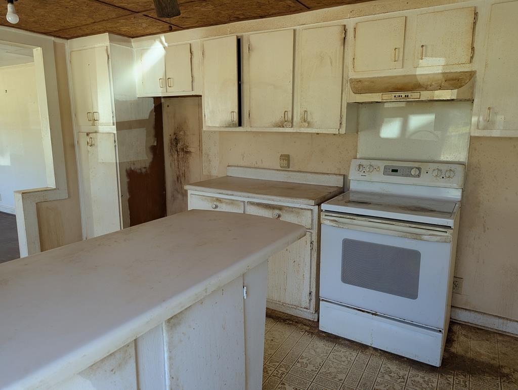 80 N Edwards, Newton, Alabama image 6