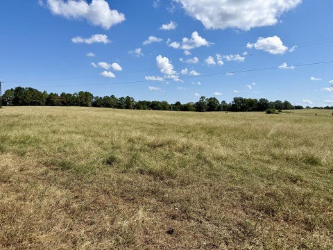 Vacant Land For Sale - 3.4 ACRES County Road 661<br/> Coffee County, Samson, AL 36477