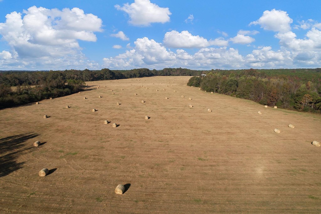 County Road 127, Banks, Alabama image 40