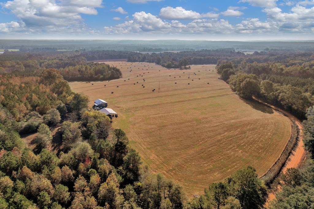 County Road 127, Banks, Alabama image 6