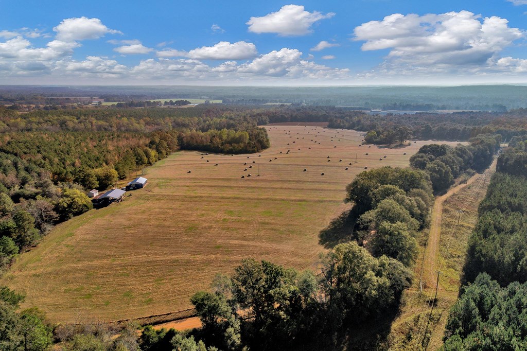 County Road 127, Banks, Alabama image 33