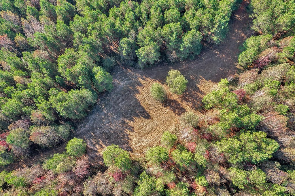 County Road 127, Banks, Alabama image 46
