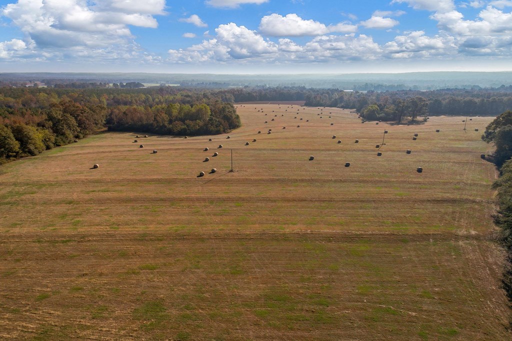 County Road 127, Banks, Alabama image 34