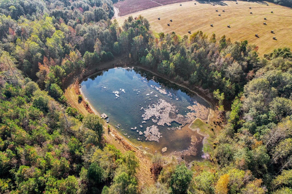 County Road 127, Banks, Alabama image 41
