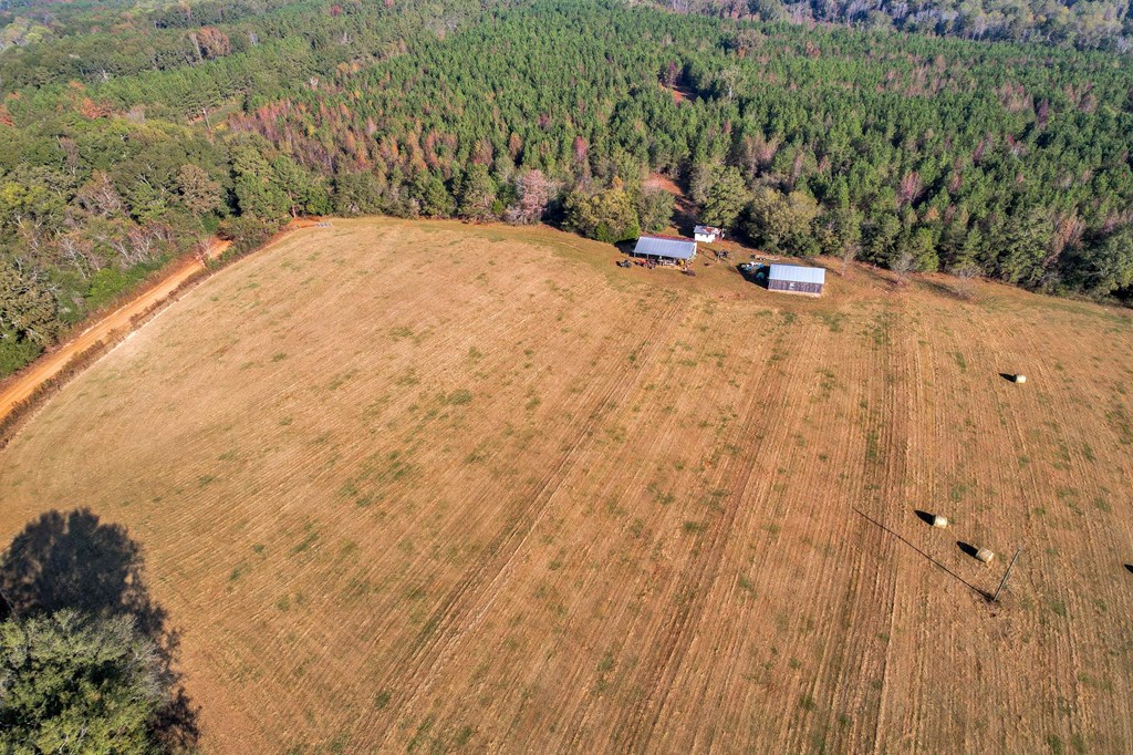 County Road 127, Banks, Alabama image 35