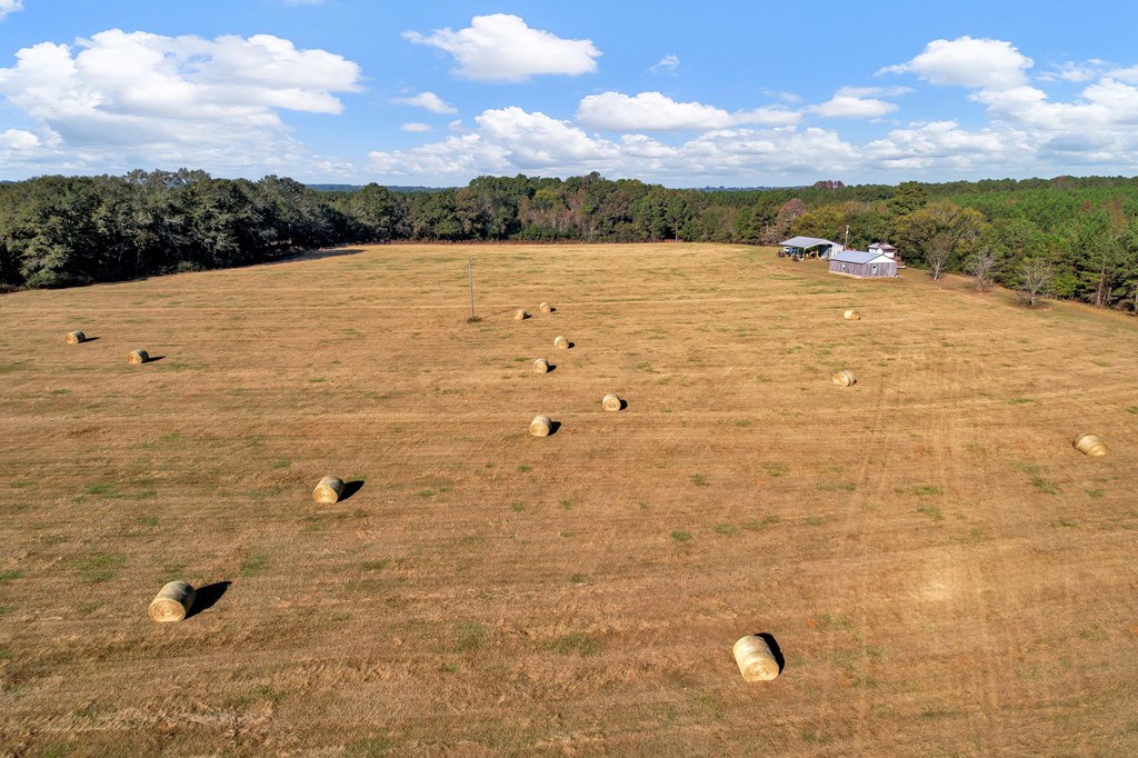 County Road 127, Banks, Alabama image 5