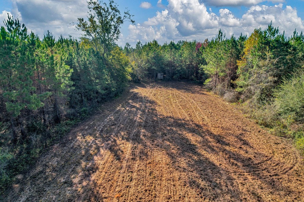 County Road 127, Banks, Alabama image 50