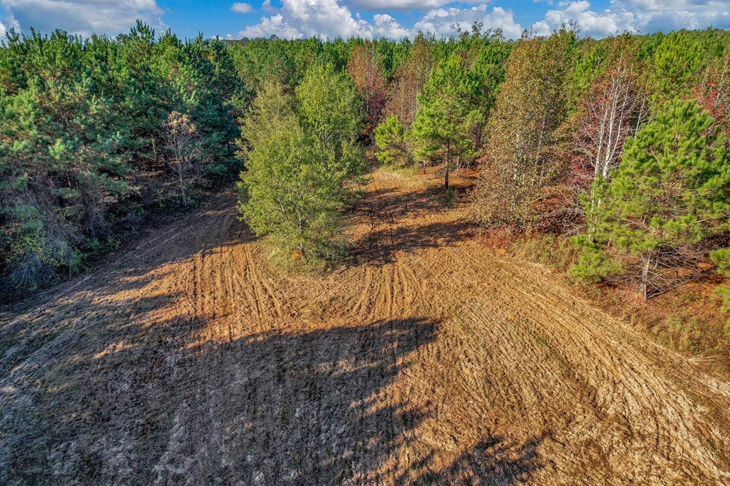 County Road 127, Banks, Alabama image 47