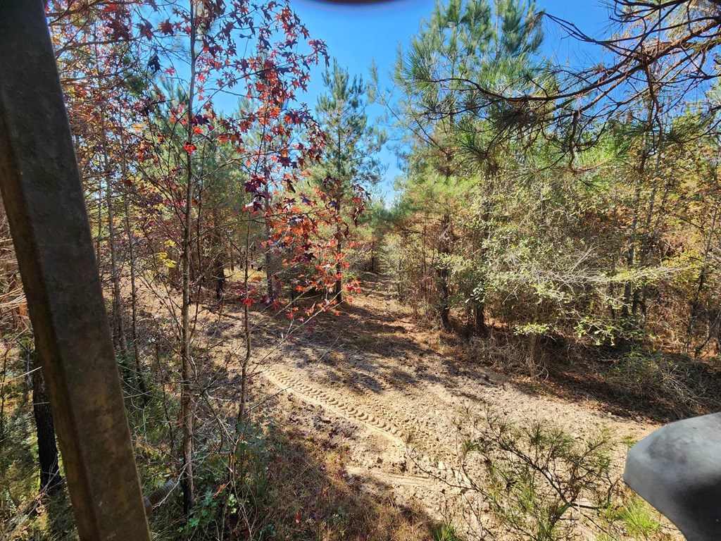 County Road 127, Banks, Alabama image 32