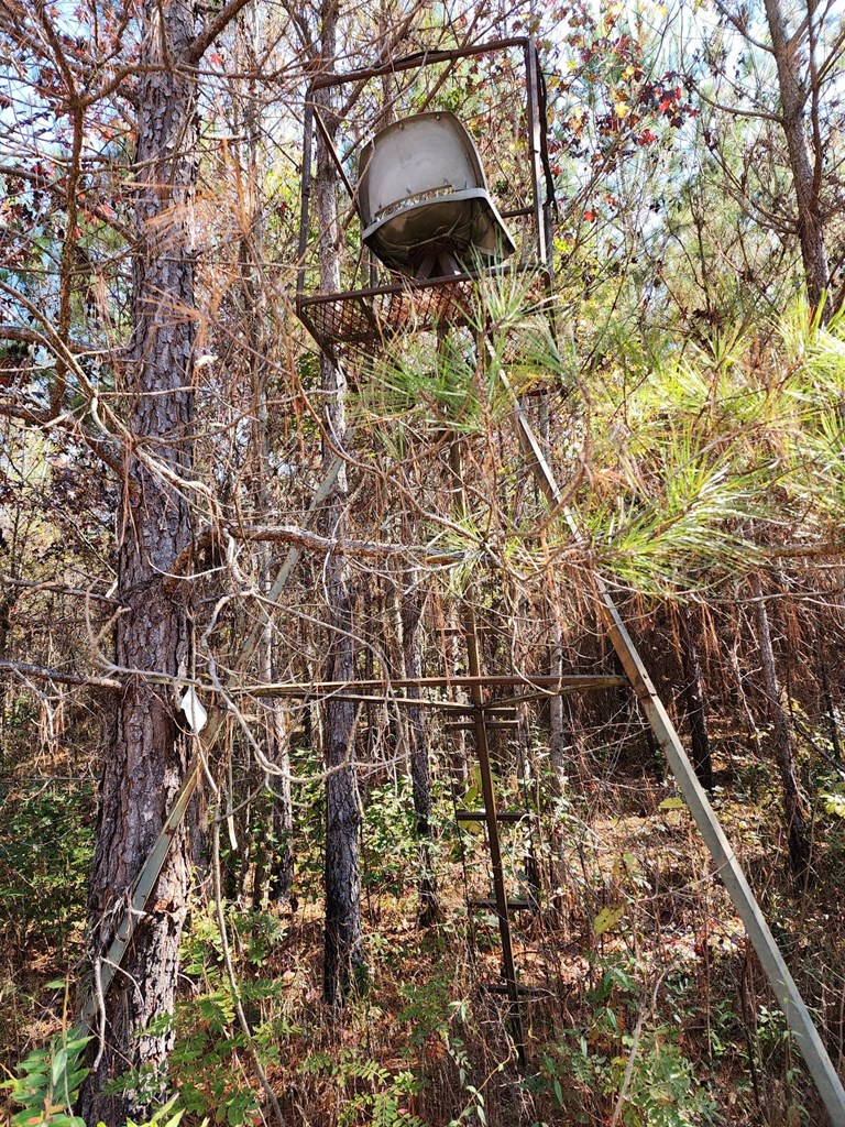 County Road 127, Banks, Alabama image 26