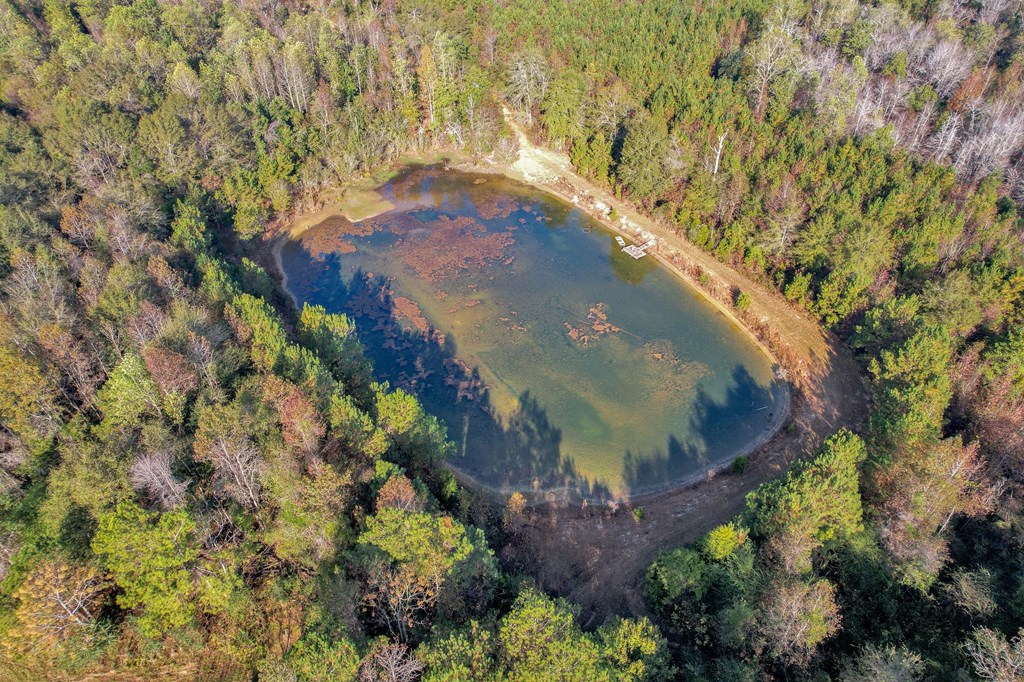 County Road 127, Banks, Alabama image 2