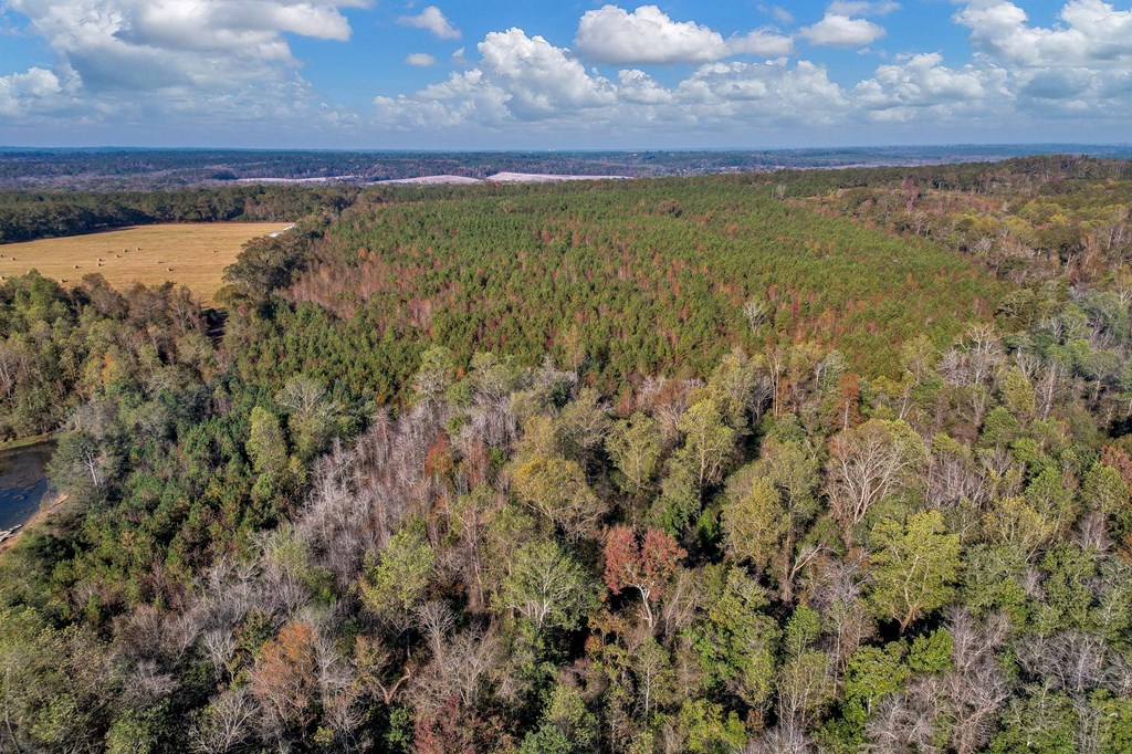 County Road 127, Banks, Alabama image 4