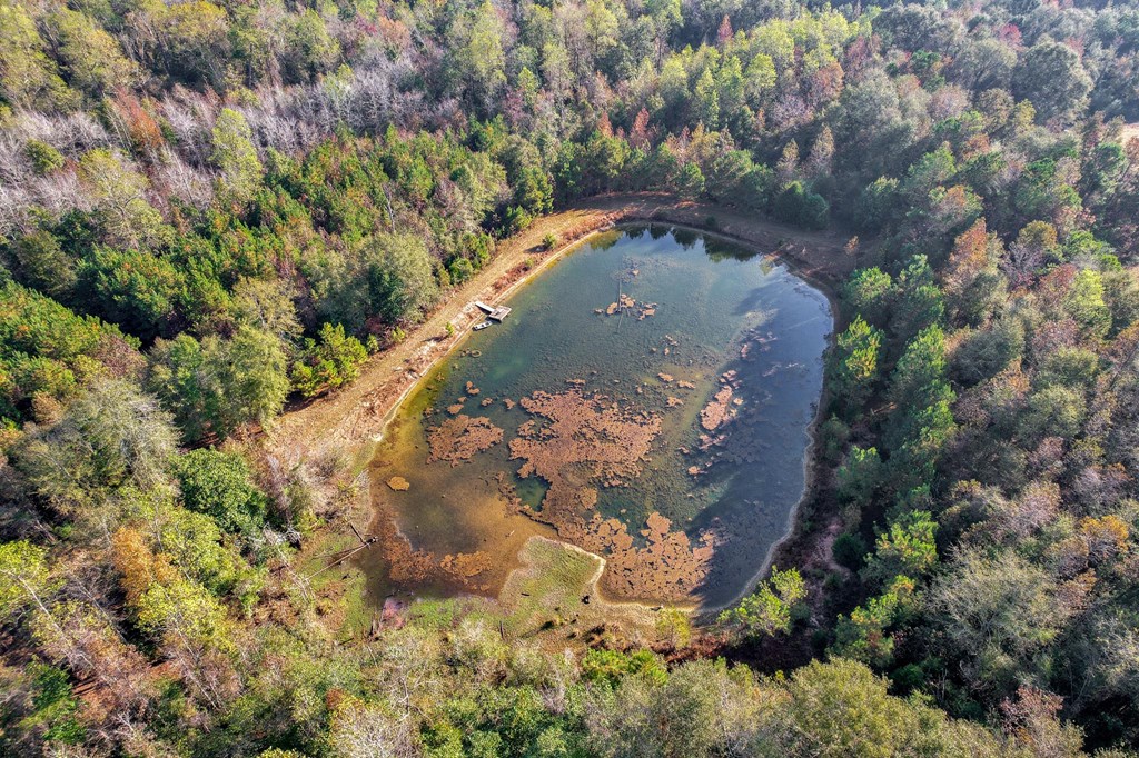 County Road 127, Banks, Alabama image 42