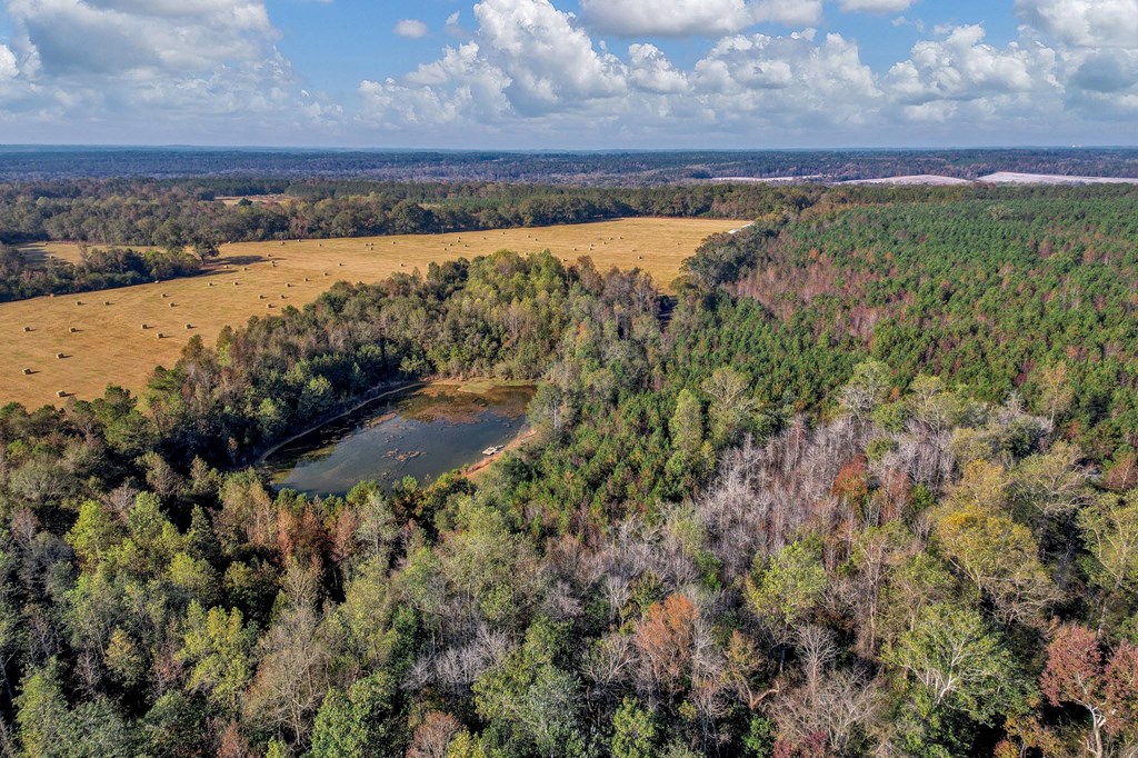 County Road 127, Banks, Alabama image 45
