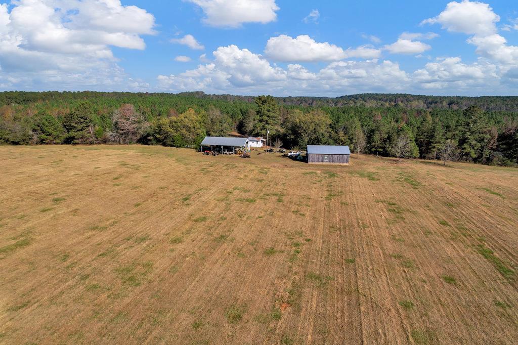 County Road 127, Banks, Alabama image 1