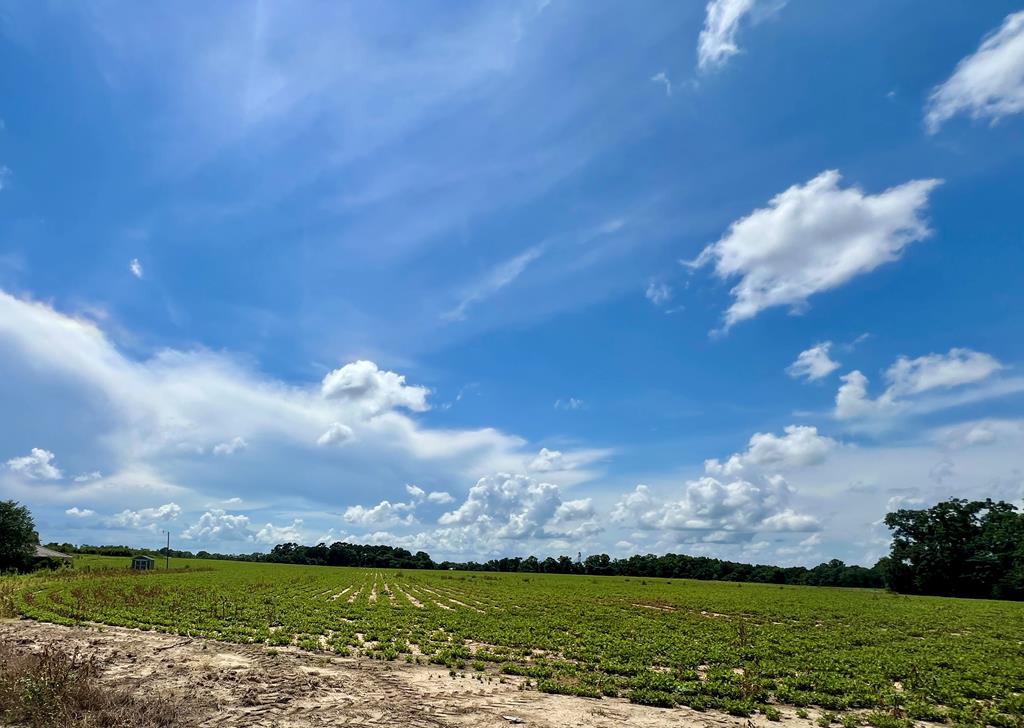 Taylor, Alabama 36301, United States, ,Land,Active,126756