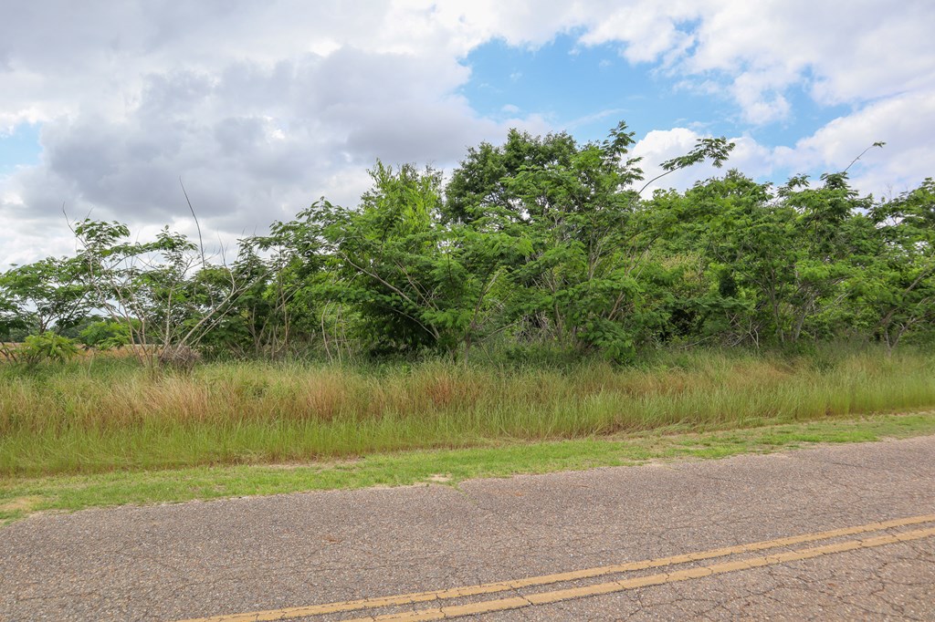 Taylor, Alabama 36301, United States, ,Land,Active,126756