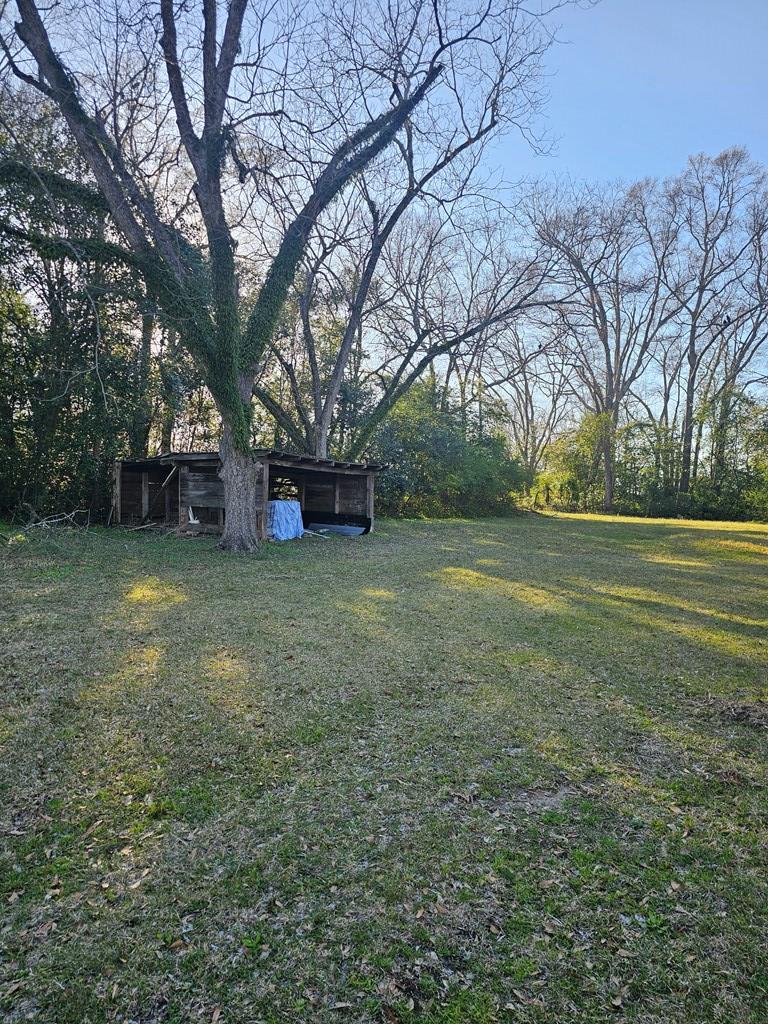 1128 N Three Notch St, Troy, Alabama image 29