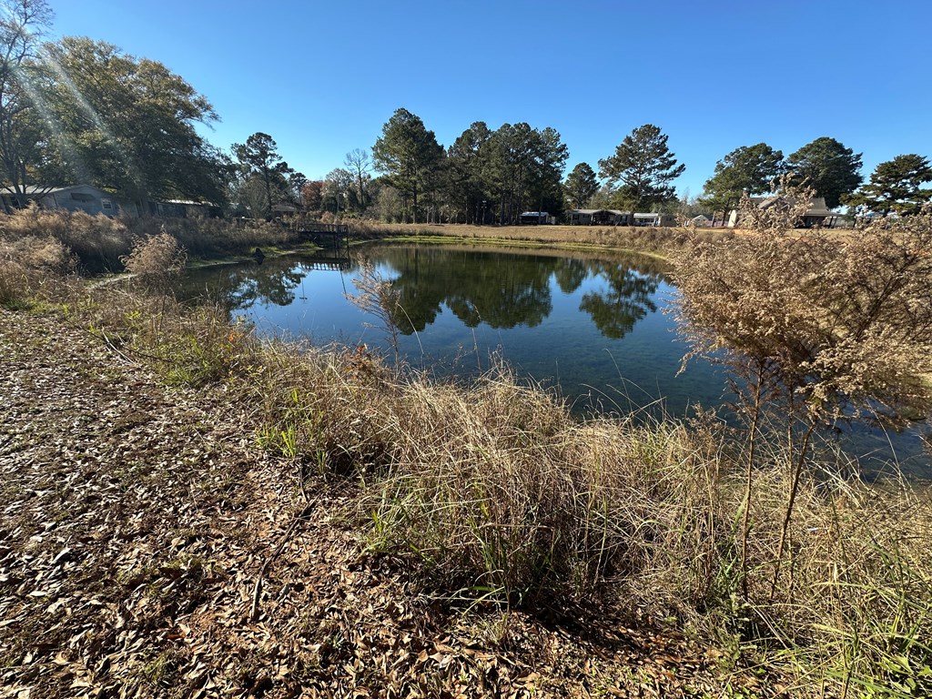 801 Maple Avenue, Hartford, Alabama image 10