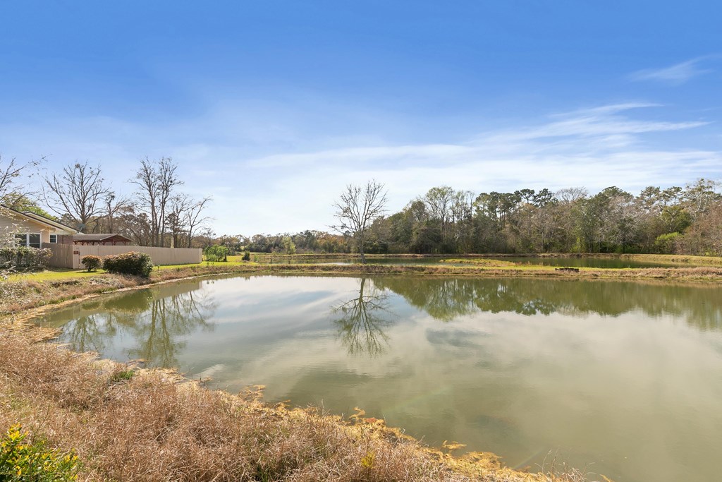 314 Alpha St, Midland City, Alabama image 48