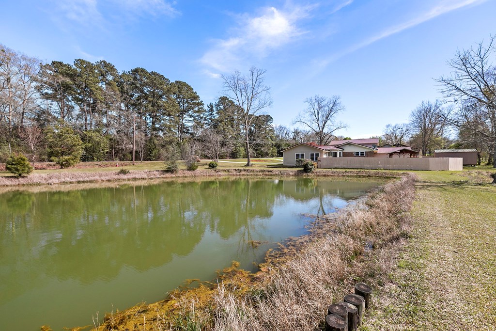 314 Alpha St, Midland City, Alabama image 50