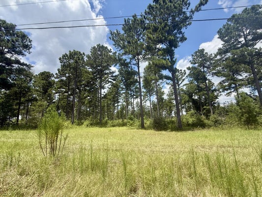 0 COUNTY ROAD 33, ASHFORD, AL 36312 - Image be5deccdd5a0e9fbd64abf61a5bb5961/1554656090