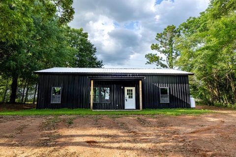 Homes For Sale - 8622 Judge Logue Rd<br/> Newton, AL 36352