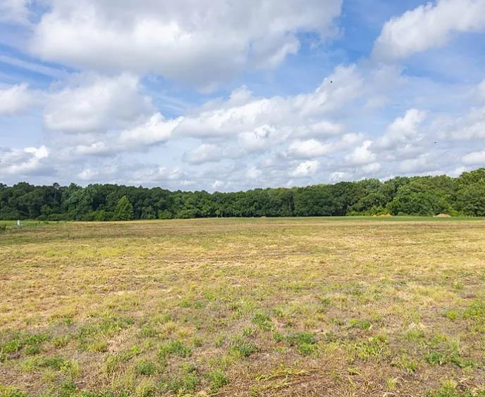 1332 County Road 9, Newton, Alabama image 4