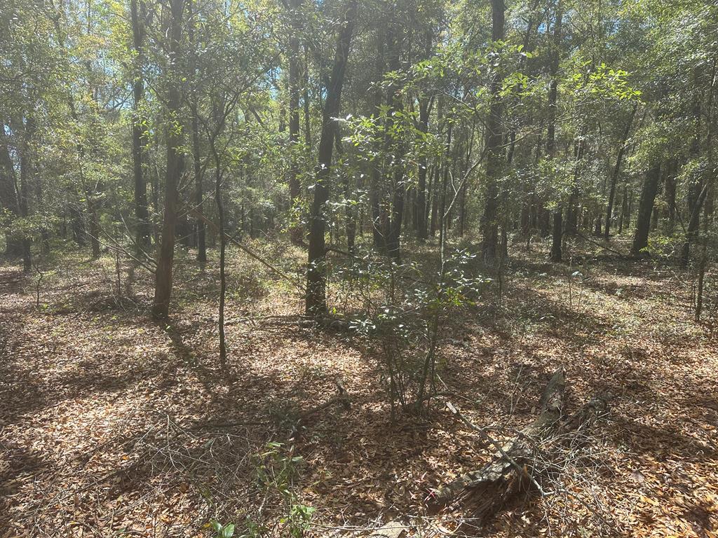 1332 County Road 9, Newton, Alabama image 3