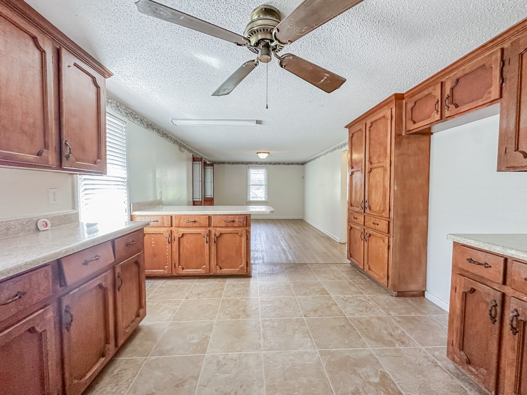 163 S Railroad St, Coffee Springs, Alabama image 6