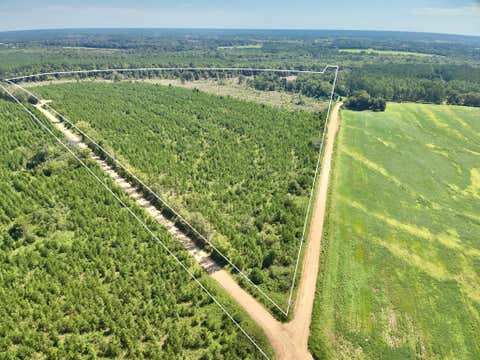 Homes For Sale - 189 ACRES Highland Street<br/> Malvern, AL 36375