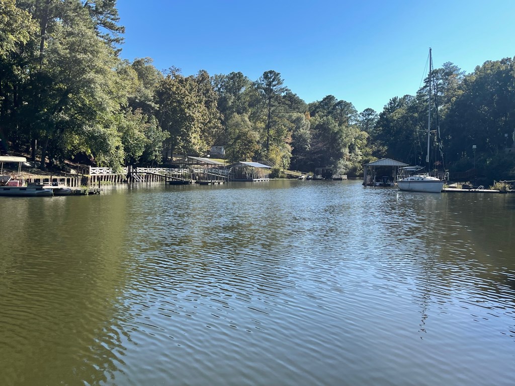 883 Mill Creek Road, Abbeville, Alabama image 8