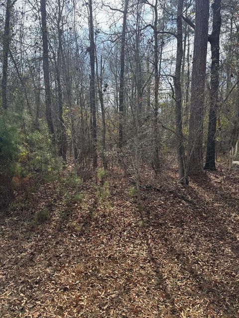 Vacant Land For Sale - Singer Ln<br/> Abbeville, AL 36310