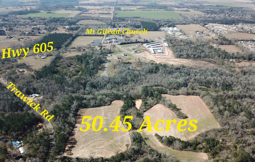 50.45 Acres Trawick Rd, Dothan, Alabama image 2
